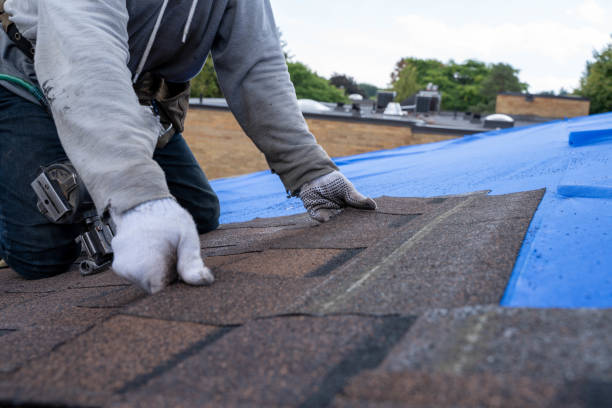 Professional Roofing Contractor in Forestville, CA