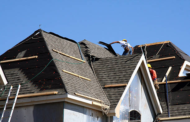 Best Storm Damage Roof Repair  in Forestville, CA