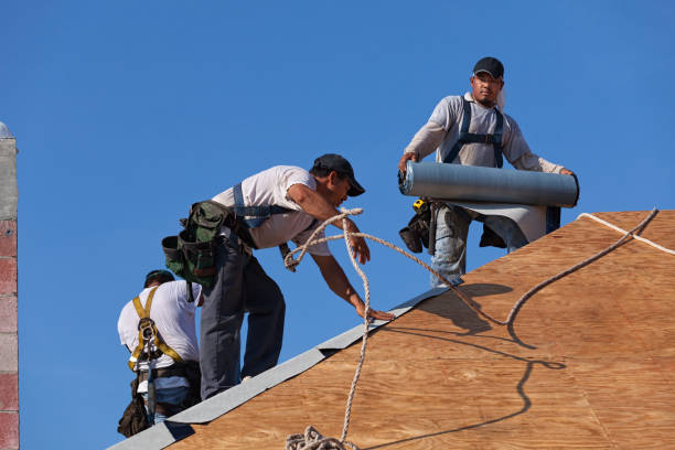 Best Roofing Contractor Near Me  in Forestville, CA
