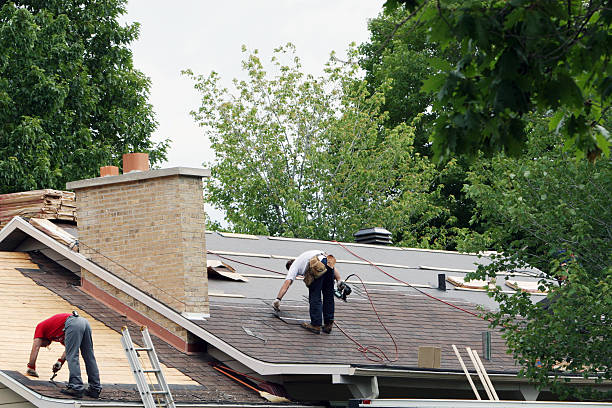 Best Local Roofing Companies  in Forestville, CA