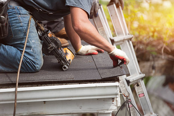 Best Roof Repair Services  in Forestville, CA