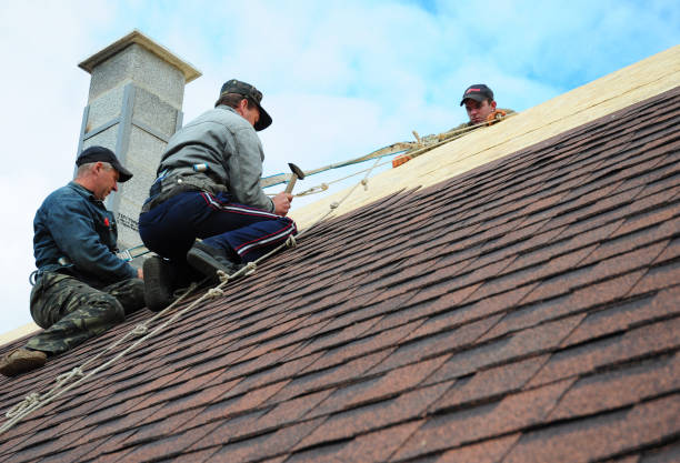 Best Best Roofing Contractors  in Forestville, CA