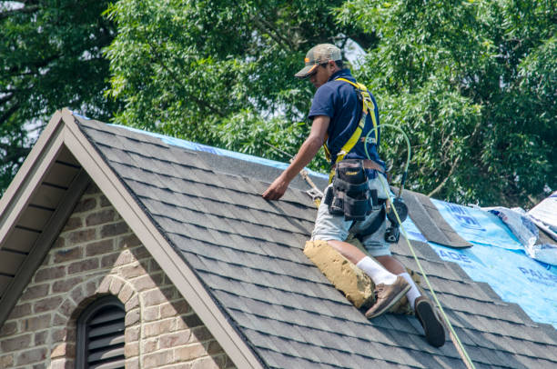 Best Roof Leak Repair  in Forestville, CA